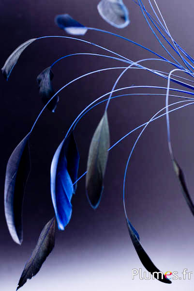 Coquetip - 20-25 cm - bleu-noir